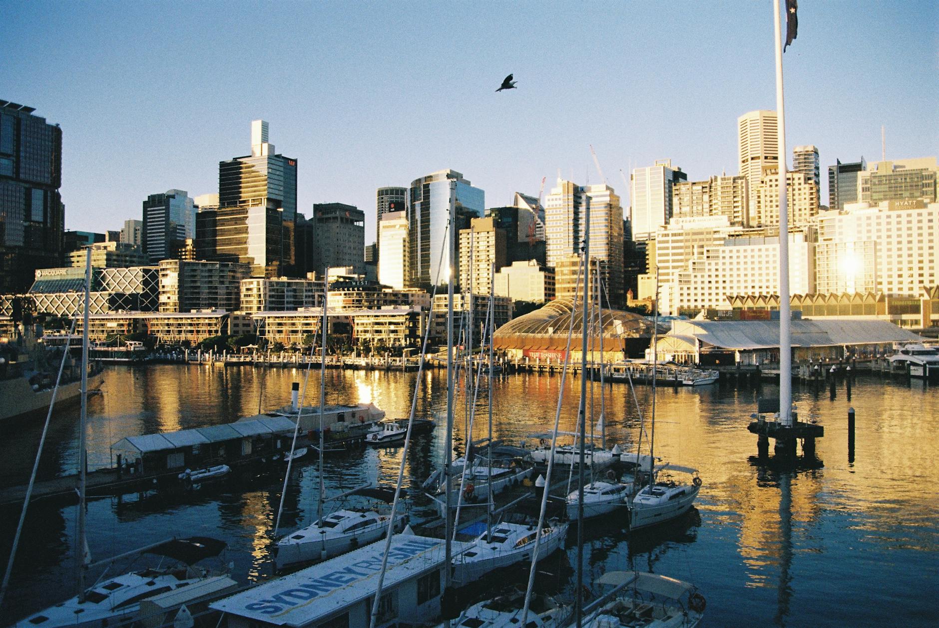 Darling Harbour Sydney waterfront with restaurants and city skyline