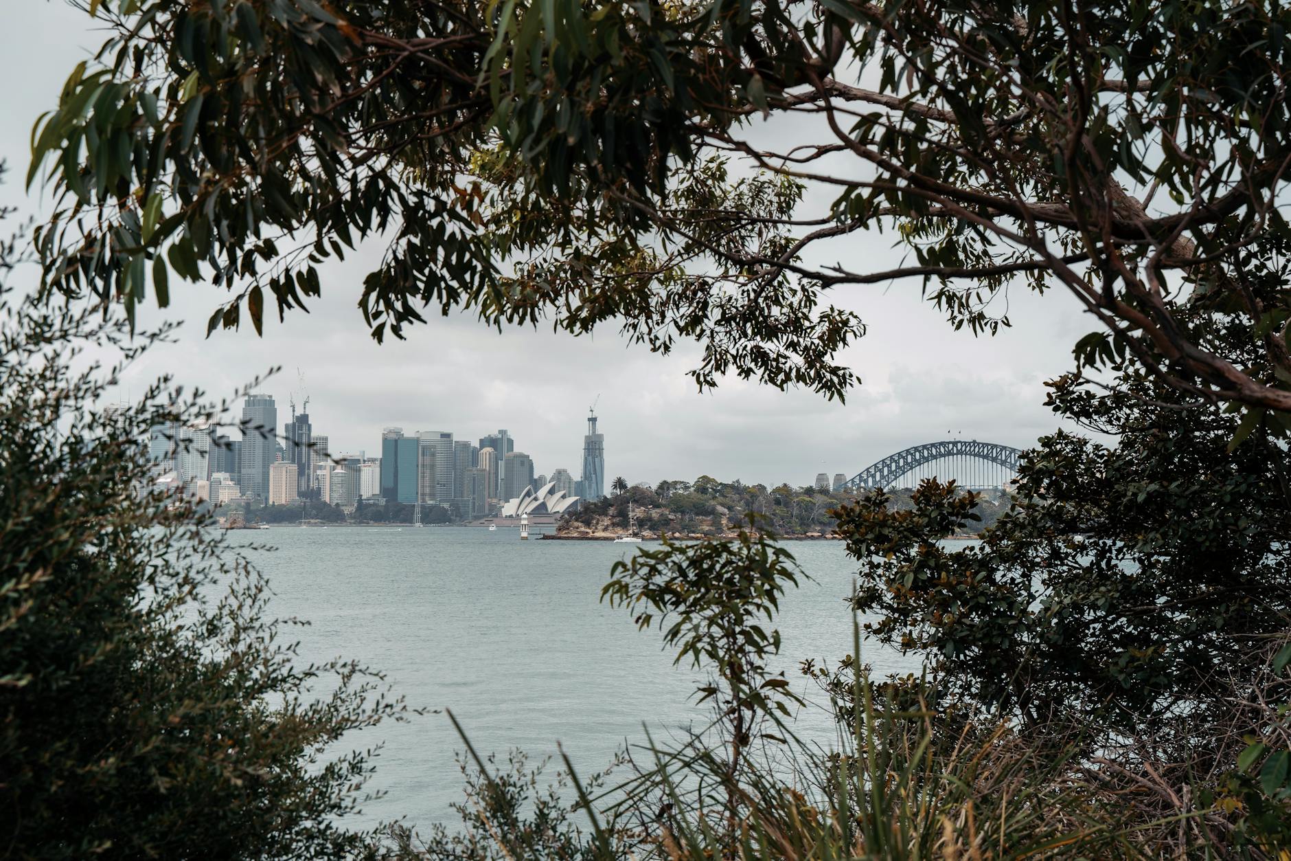 Royal Botanic Garden Sydney with harbour views
