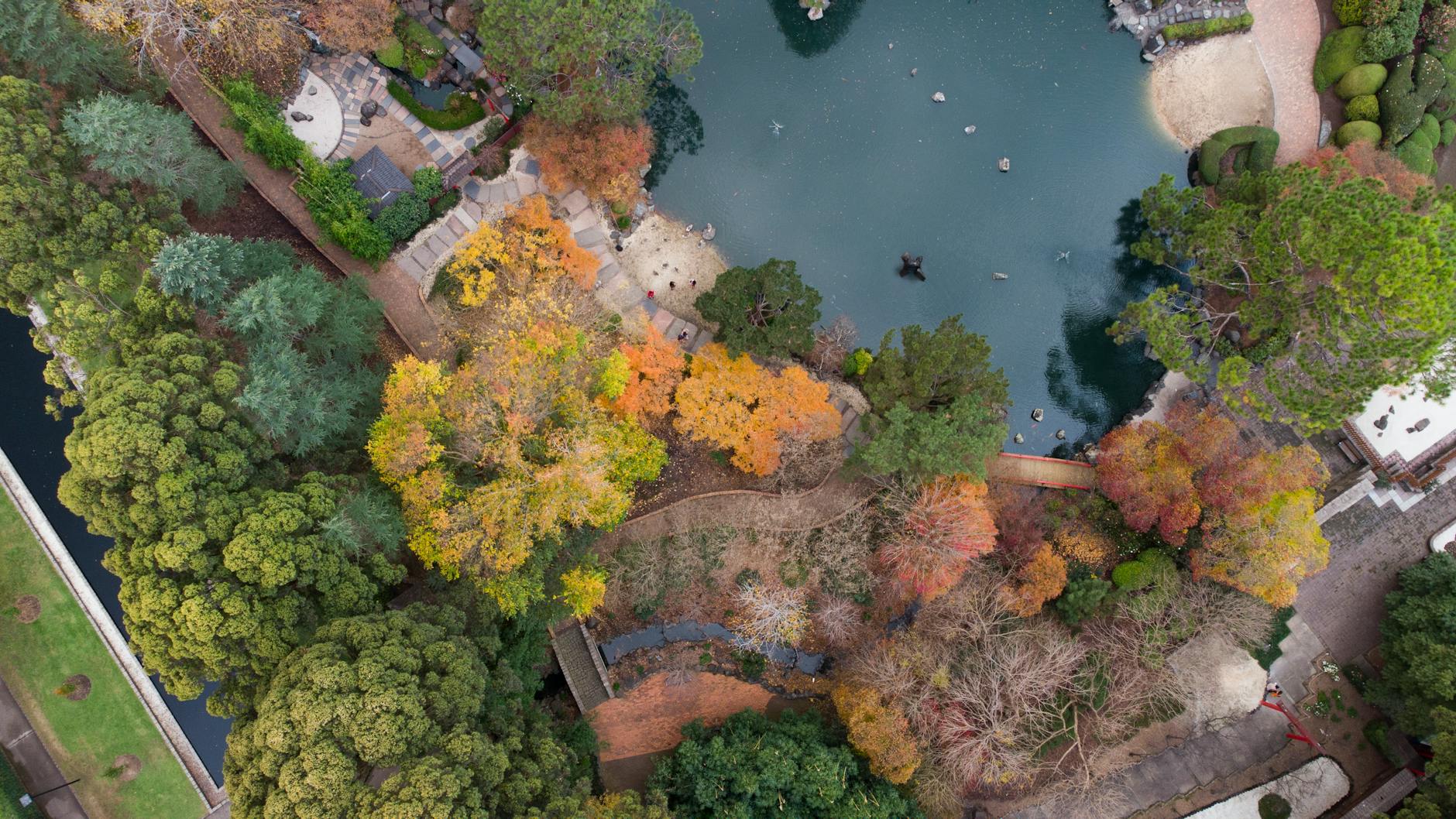 Best time to visit Sydney - Beautiful autumn colours in a Sydney park during the mild March to May season.