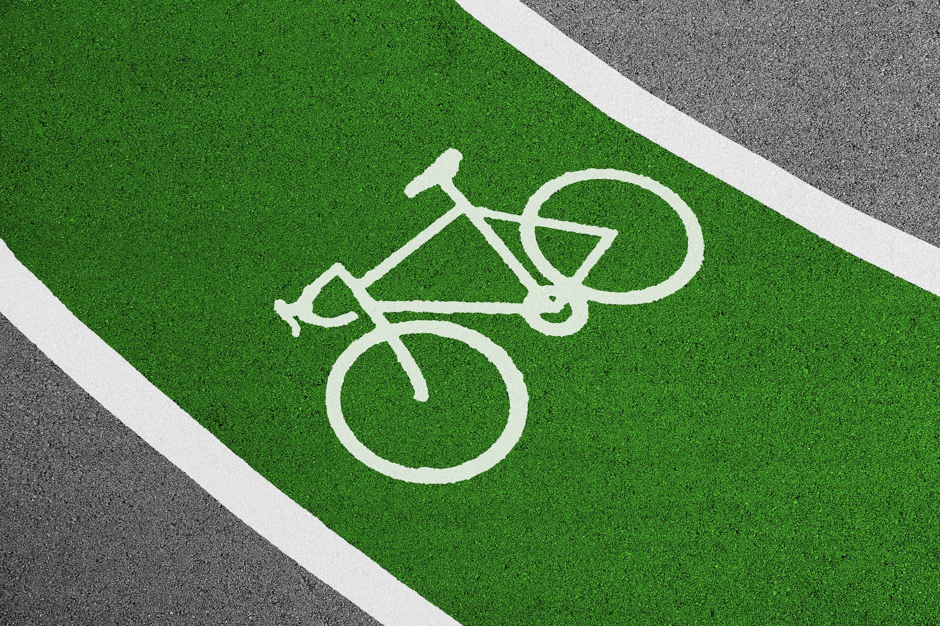 Sydney transport guide - cyclist riding along a scenic urban bike path on a sunny day