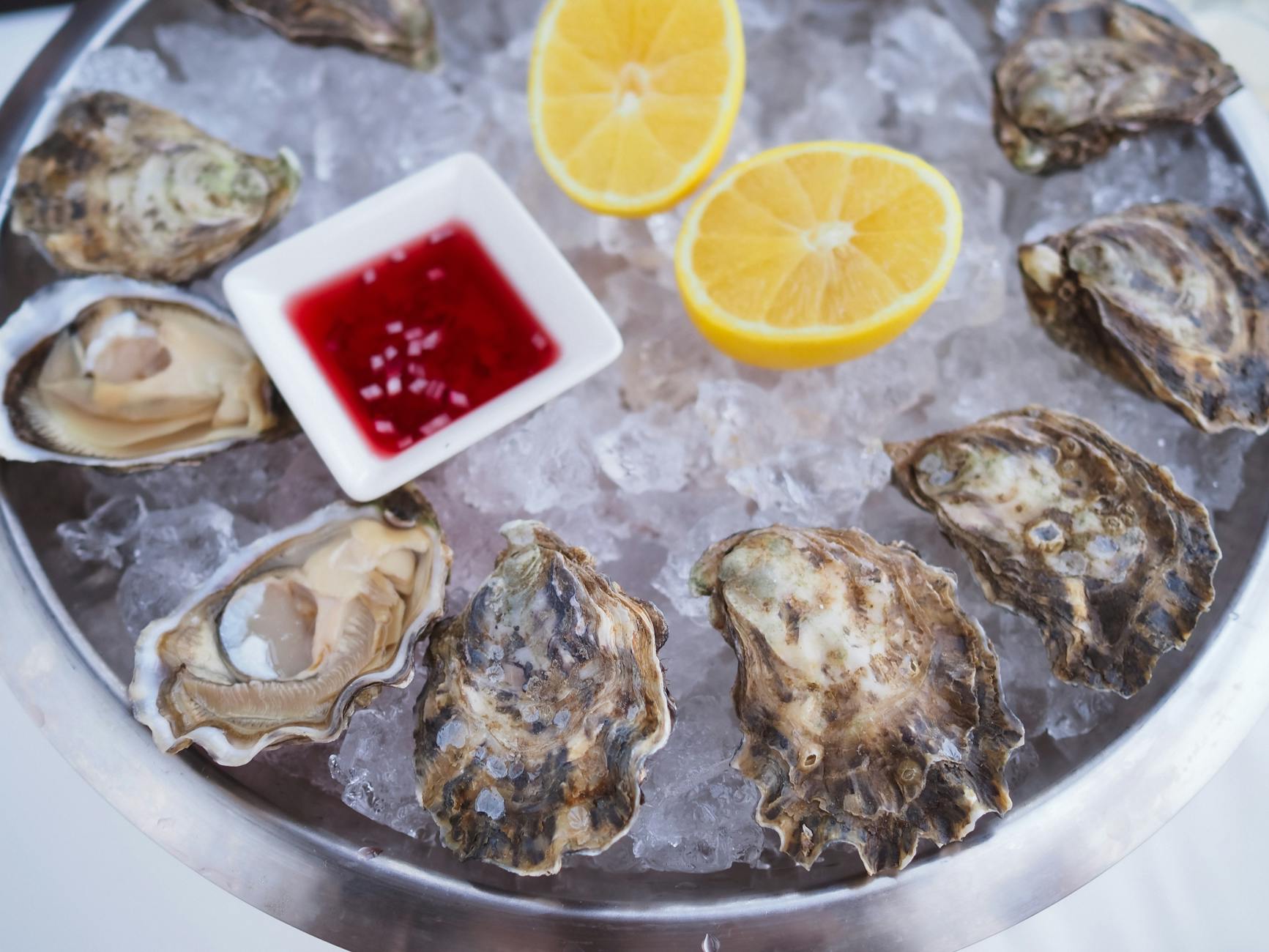 Best restaurants in Sydney - a platter of fresh Sydney rock oysters ready to enjoy