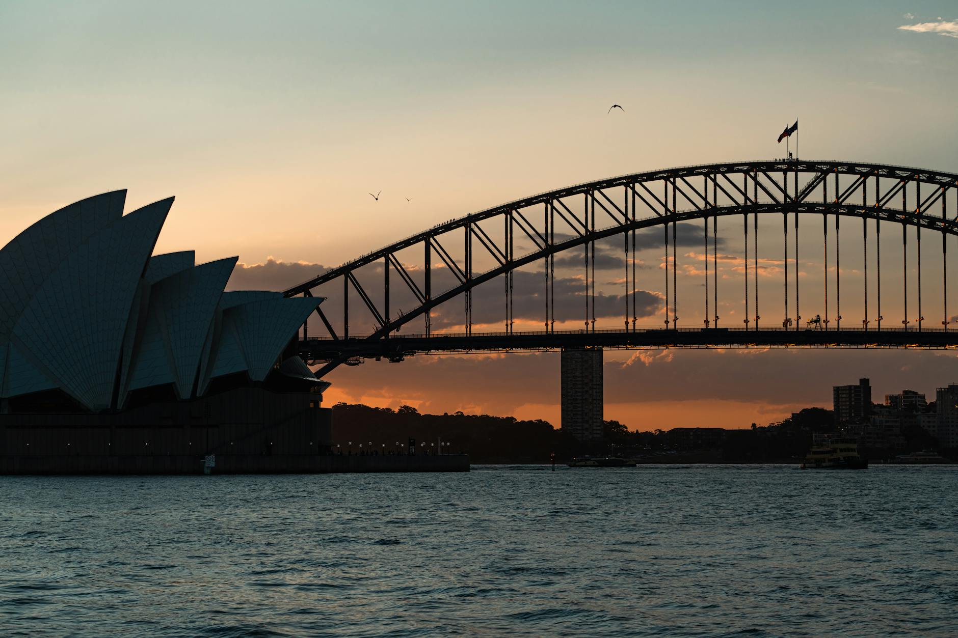 Sydney Harbour Bridge at sunset from a cruise boat