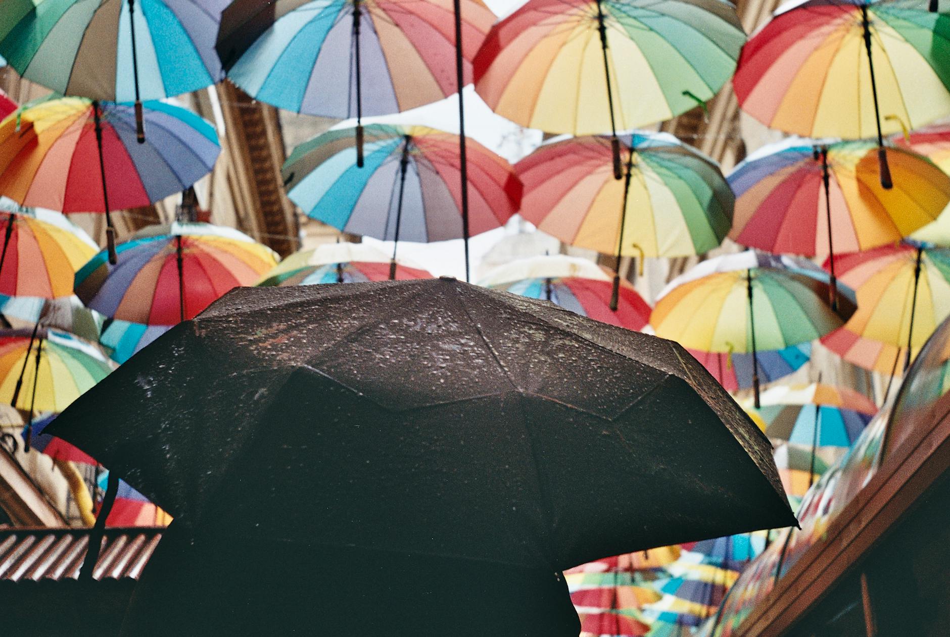 Best time to visit Sydney - Sydney streetscape on a rainy day showing typical wet weather conditions.