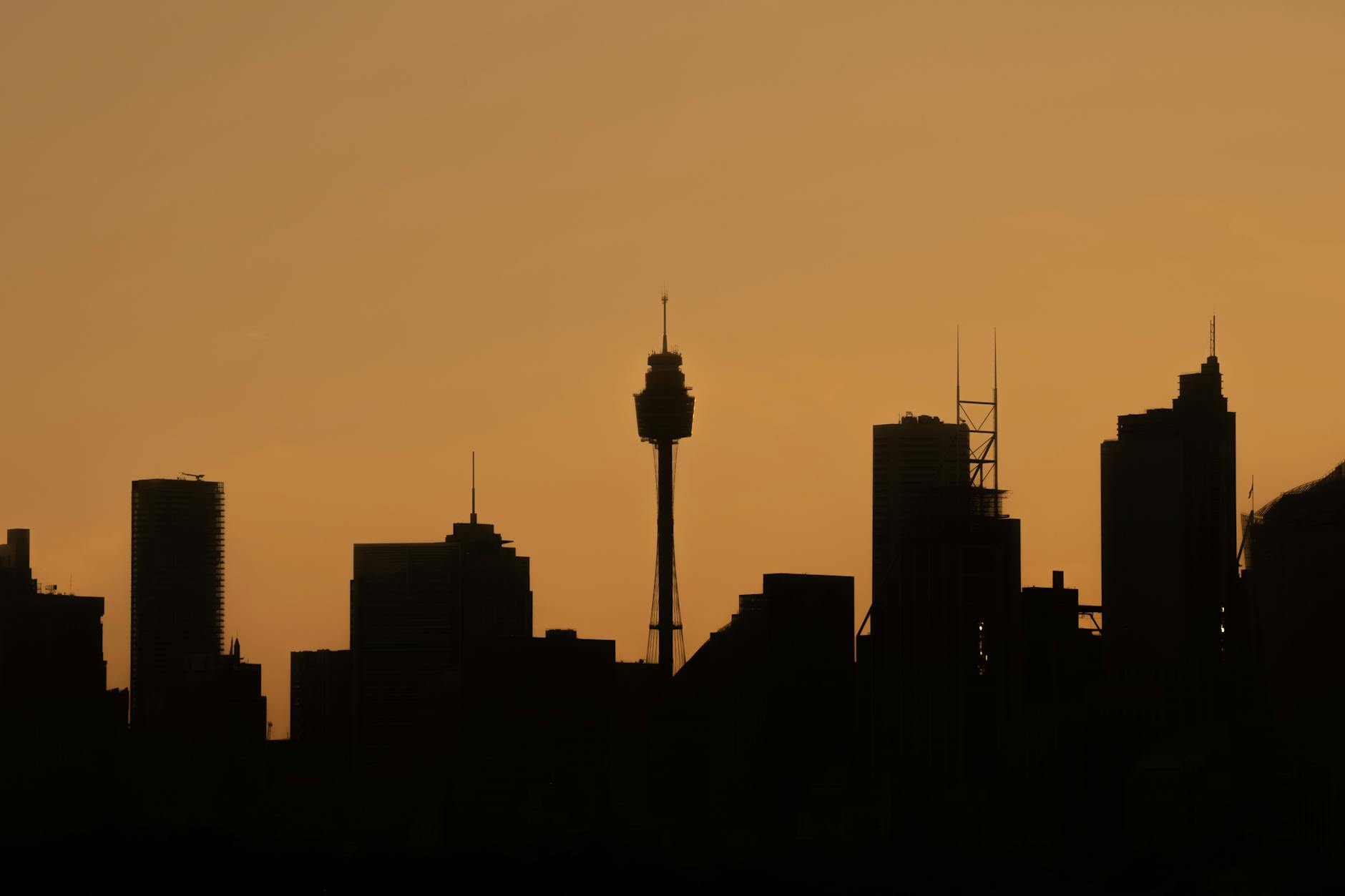 Sydney skyline at sunset from Sydney Tower Eye