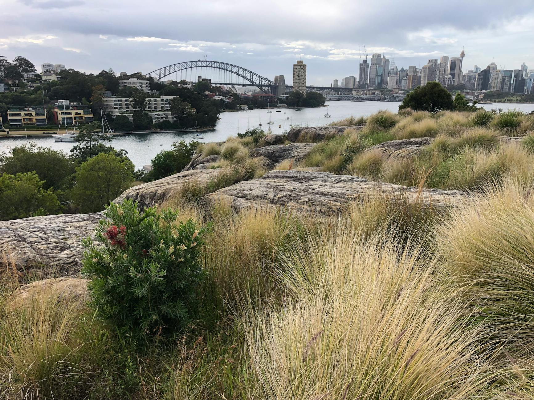View from Observatory Hill park in The Rocks Sydney