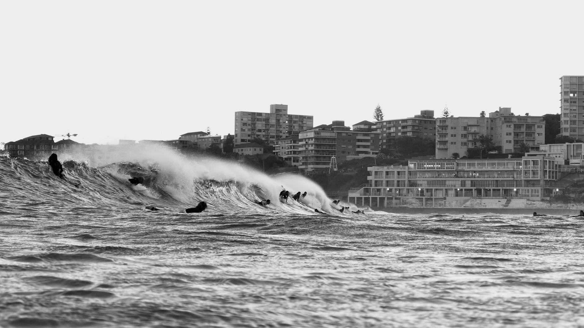 Surfing in Sydney - surfer carving wave
