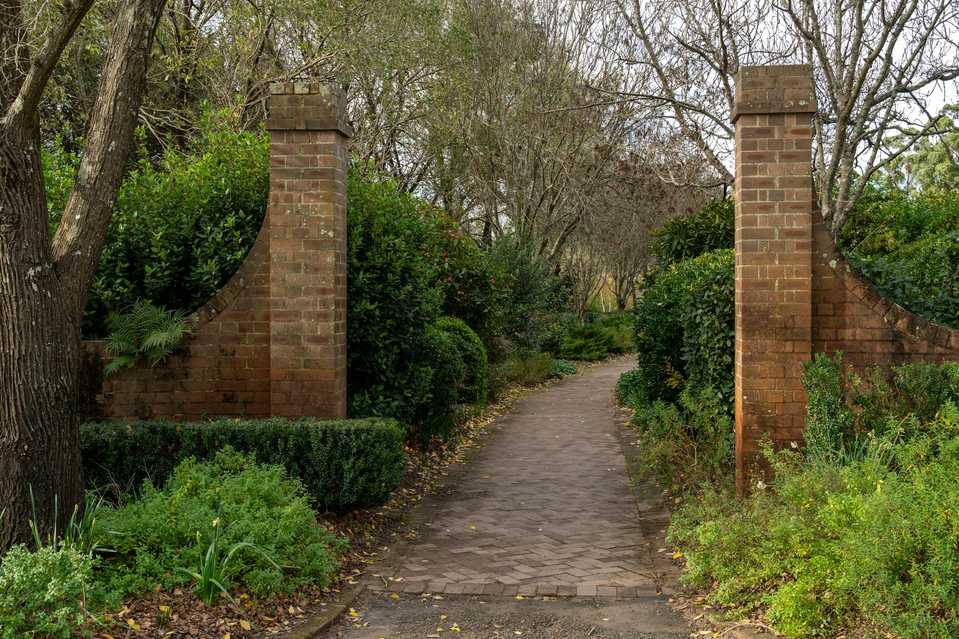 Free things to do in Sydney - Royal Botanic Garden lawn with city skyline