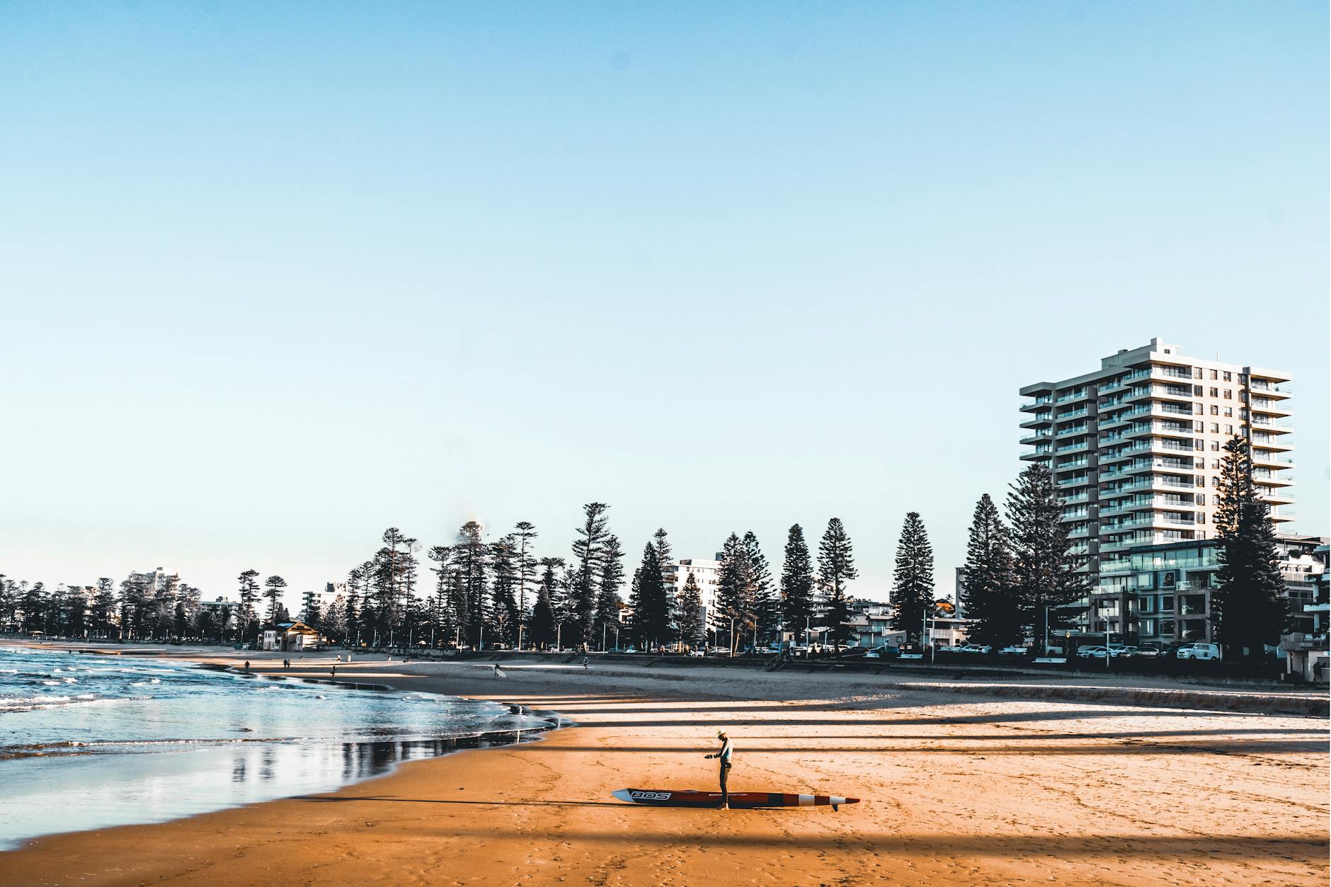 Sydney beaches - Manly Beach Norfolk pine promenade