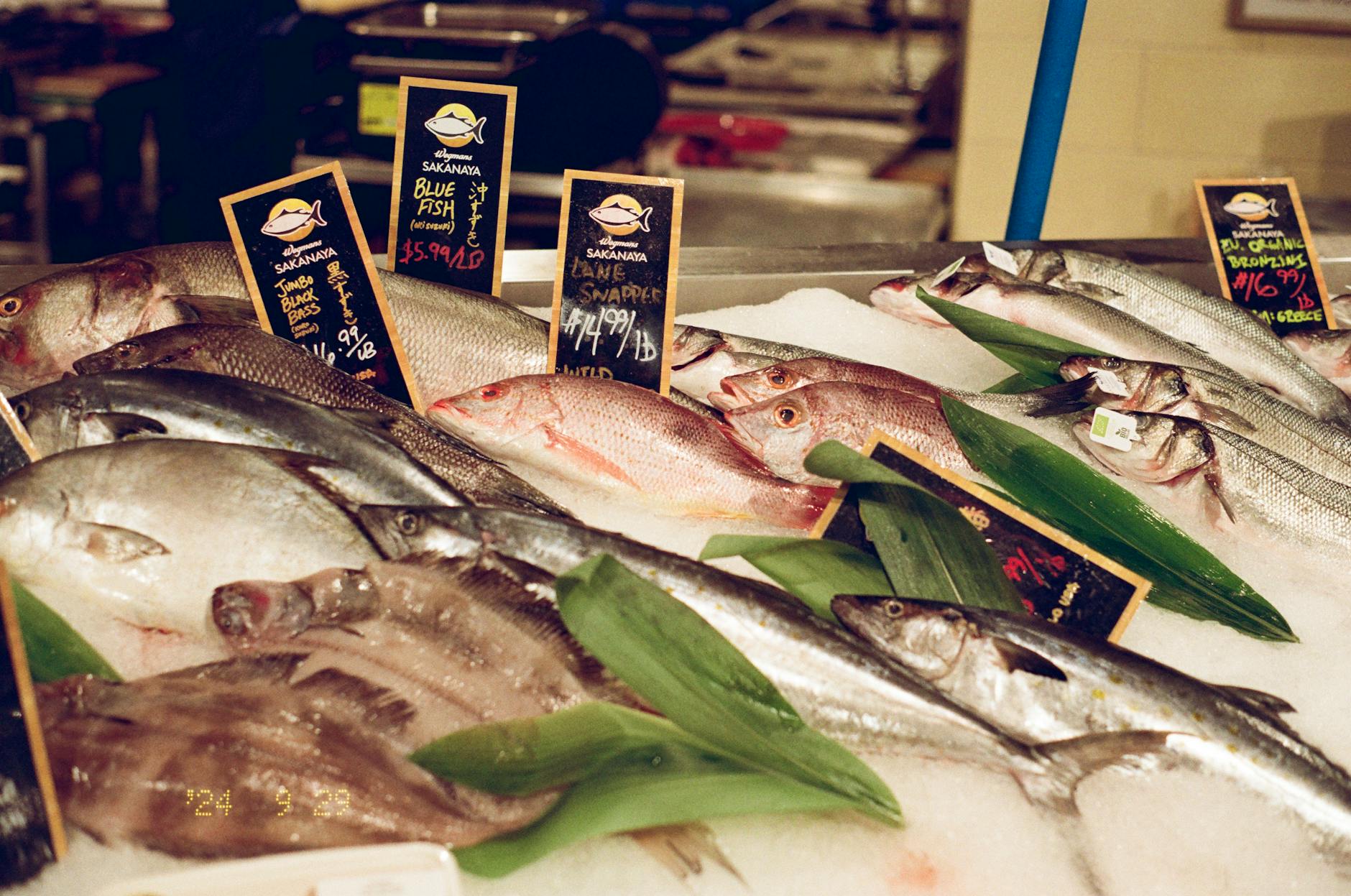 Sydney Fish Market 2026: Visitor Guide, Auction Tour & What to Eat