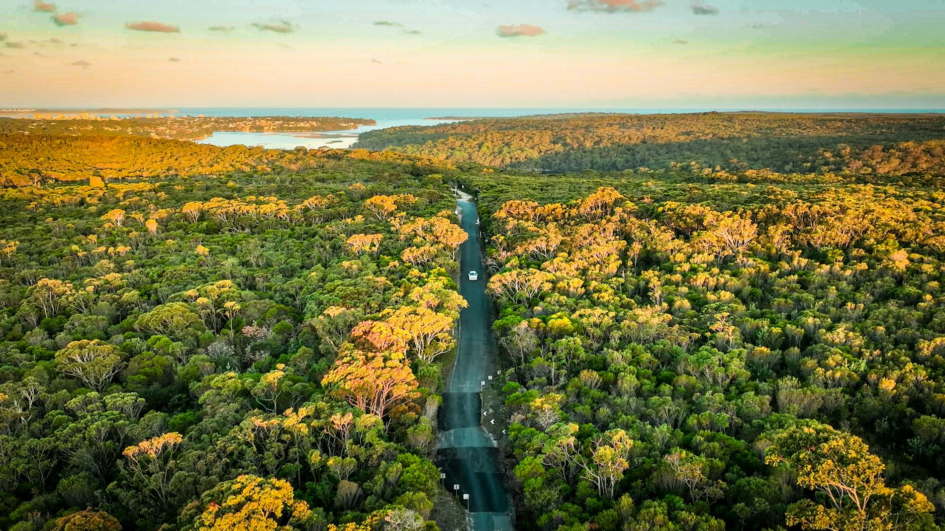 Day trips from Sydney - Royal National Park bushland