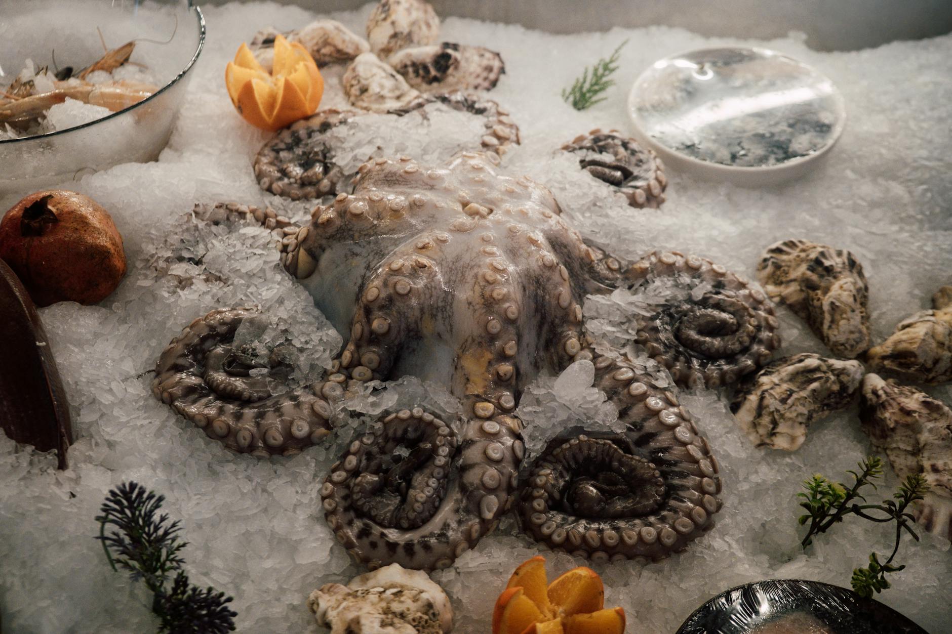Sydney Fish Market - fresh seafood ice display