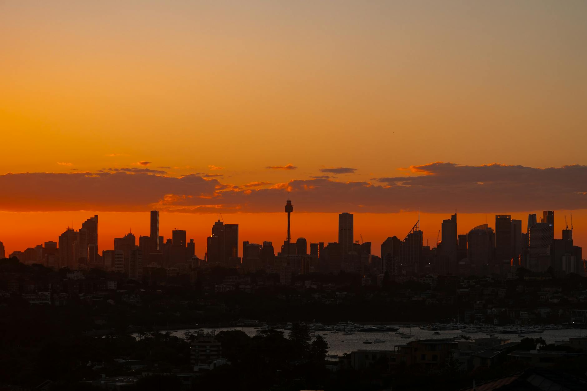 Sydney travel guide - skyline at sunset over the harbour and Bridge