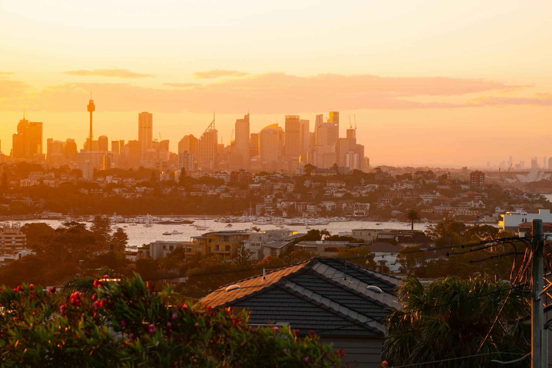 Sydney nightlife - rooftop bar with skyline view at sunset