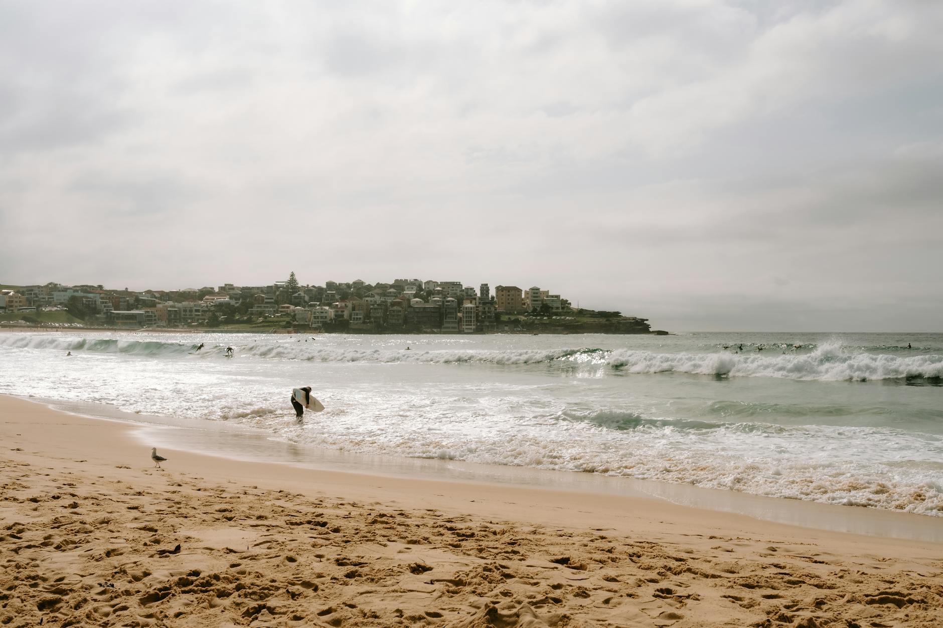 Sydney beaches - surfers and golden sand