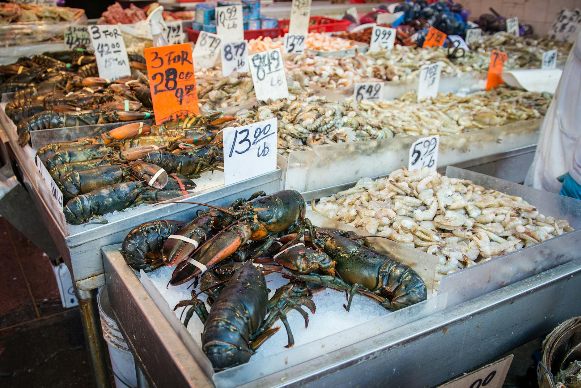 Sydney Fish Market - lobster and prawns at market