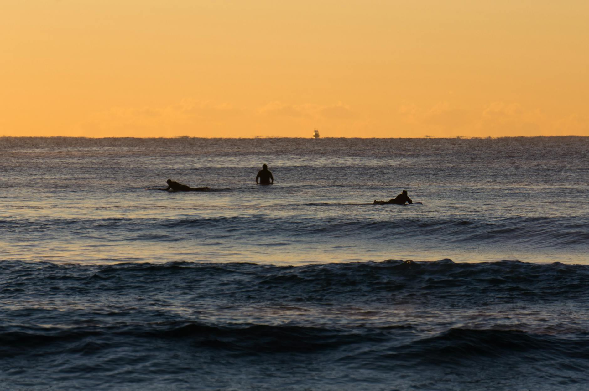 Surfing in Sydney - surfer paddling out at sunrise Northern Beaches