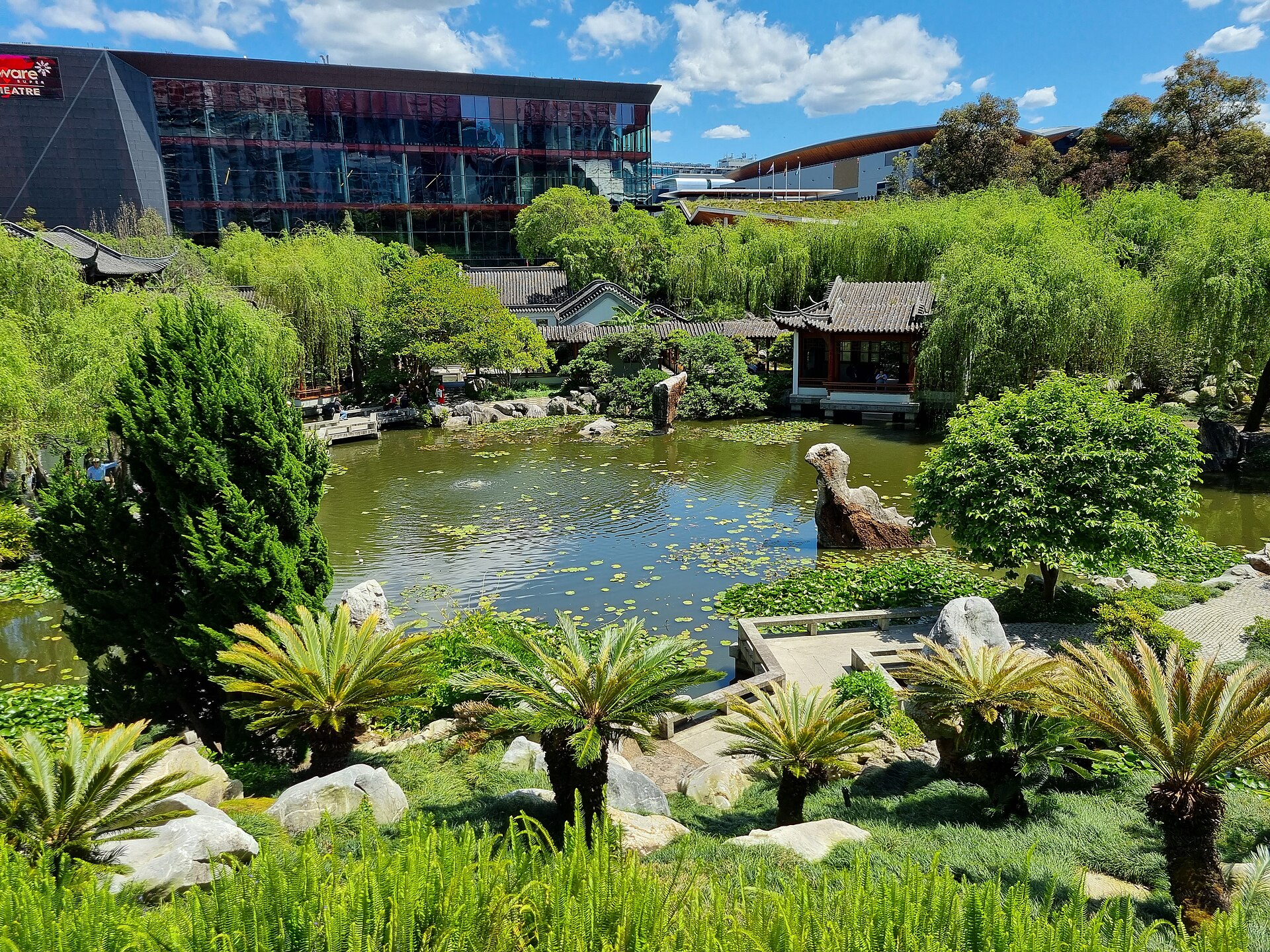 The lily-covered lake of the Chinese Garden of Friendship with willows, a pavilion and cycads in the foreground, and the glass and steel convention buildings of Darling Harbour rising behind