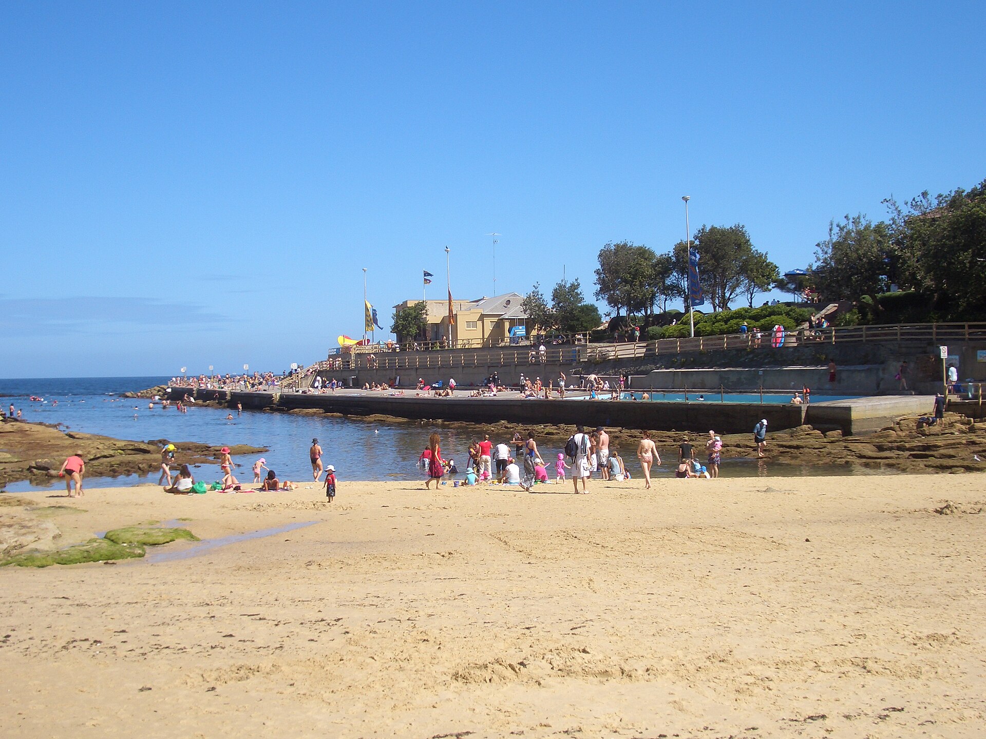 Families swimming and paddling at Clovelly, a narrow sheltered inlet edged with concrete platforms, with a pool and surf club building on the far side under a clear blue sky