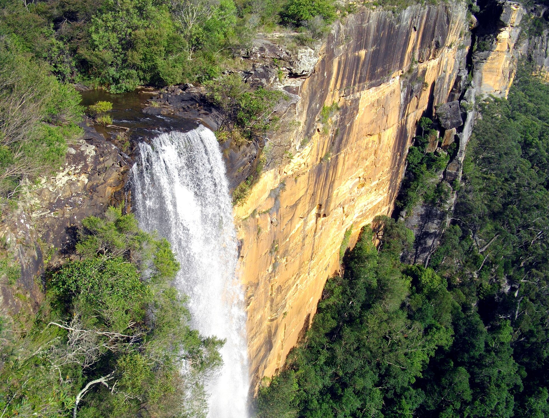 Fitzroy Falls pouring over a sandstone ledge beside an orange cliff face into forest far below, seen from a lookout above