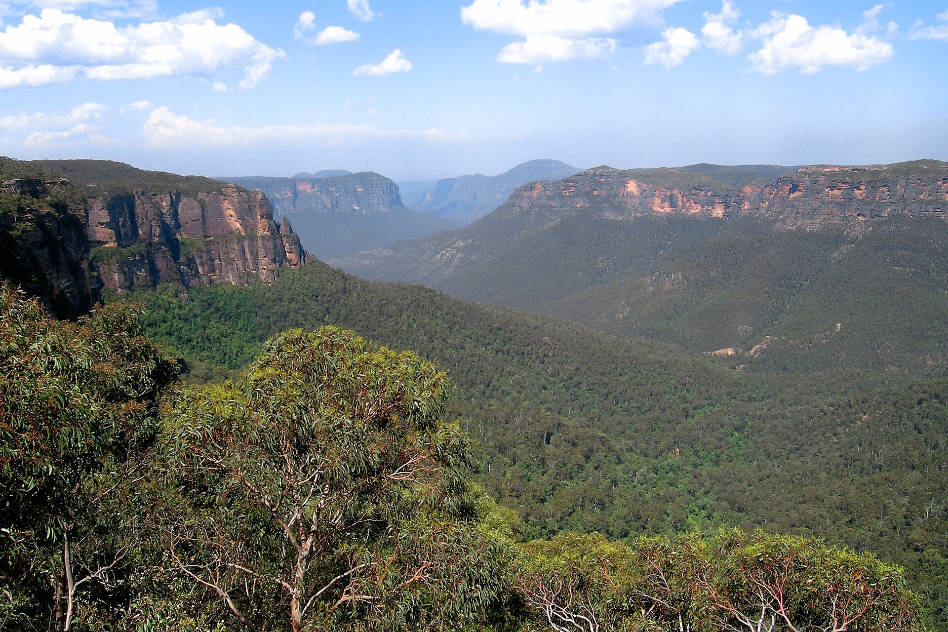 Sandstone escarpment cliffs above the forested Grose Valley in Blue Mountains National Park