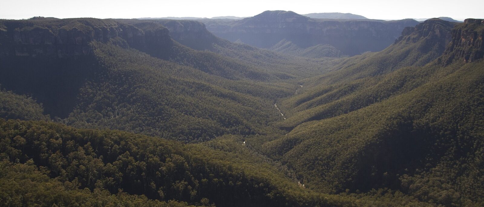 The forested Grose Valley and its sandstone cliffs seen from Evans Lookout at Blackheath