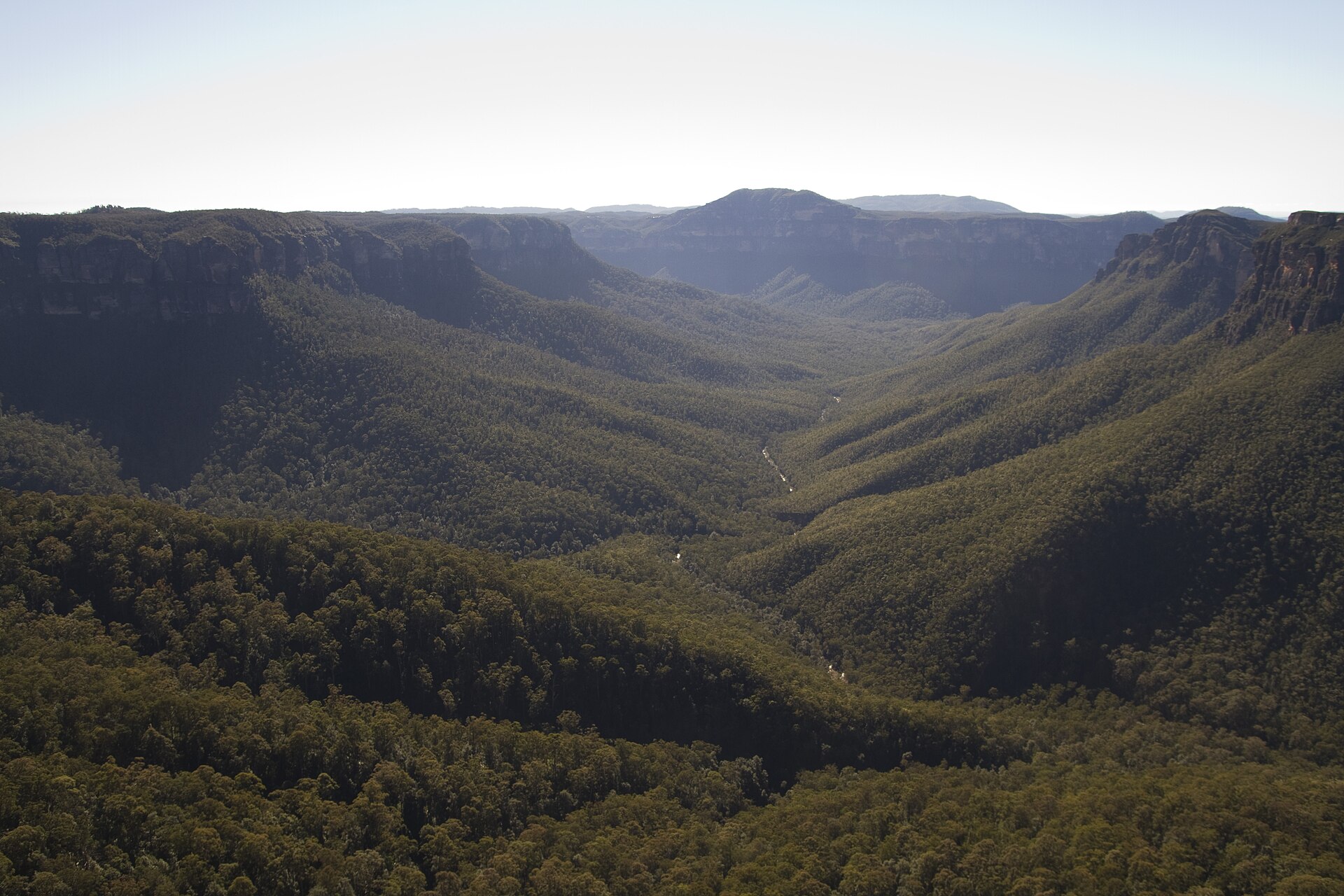The forested Grose Valley and its sandstone cliffs seen from Evans Lookout at Blackheath