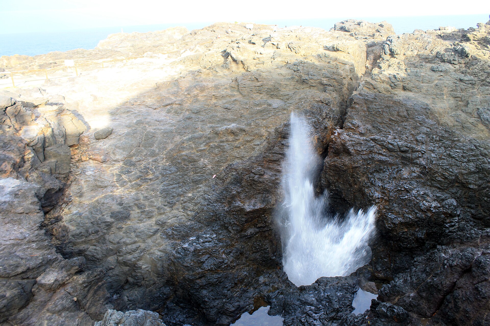 Spray shooting up from the Kiama Blowhole through a cleft in dark volcanic rock on the headland, with the ocean behind