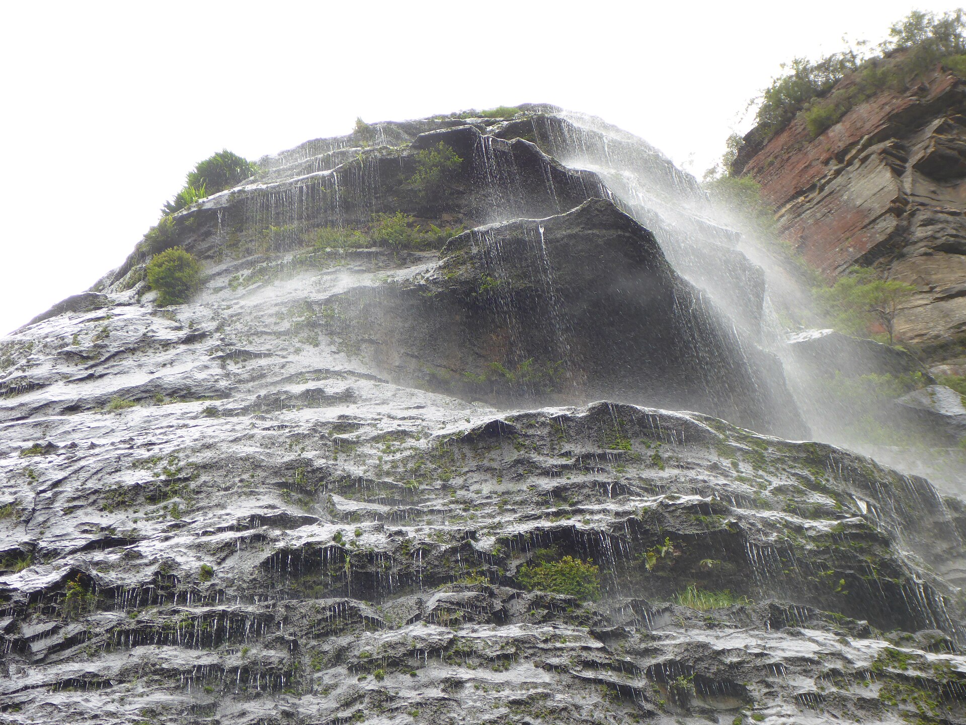 Water sheeting over layered sandstone at the falls below Leura Cascades