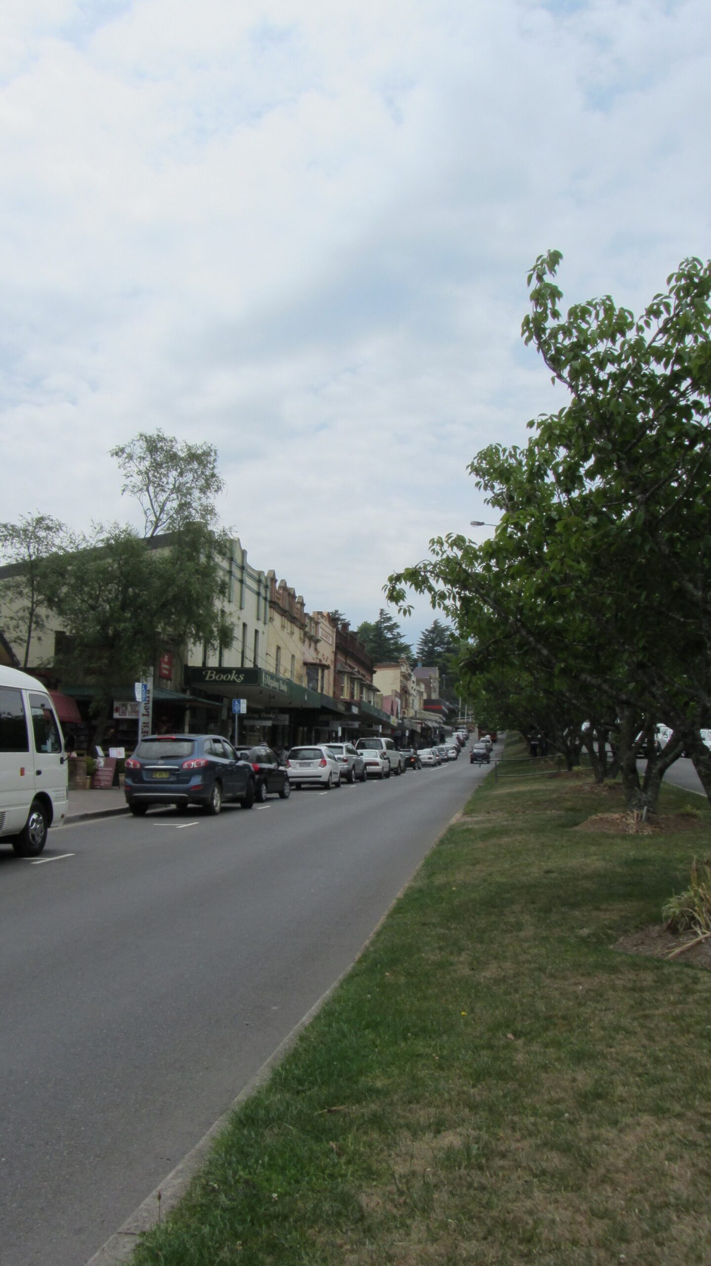 The Leura Mall shopping street with its central avenue of trees and rows of parked cars
