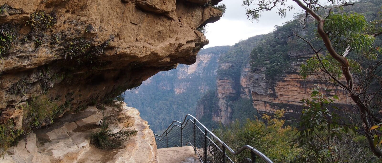 The National Pass track cut into the sandstone cliff face at Wentworth Falls with a railing along the edge