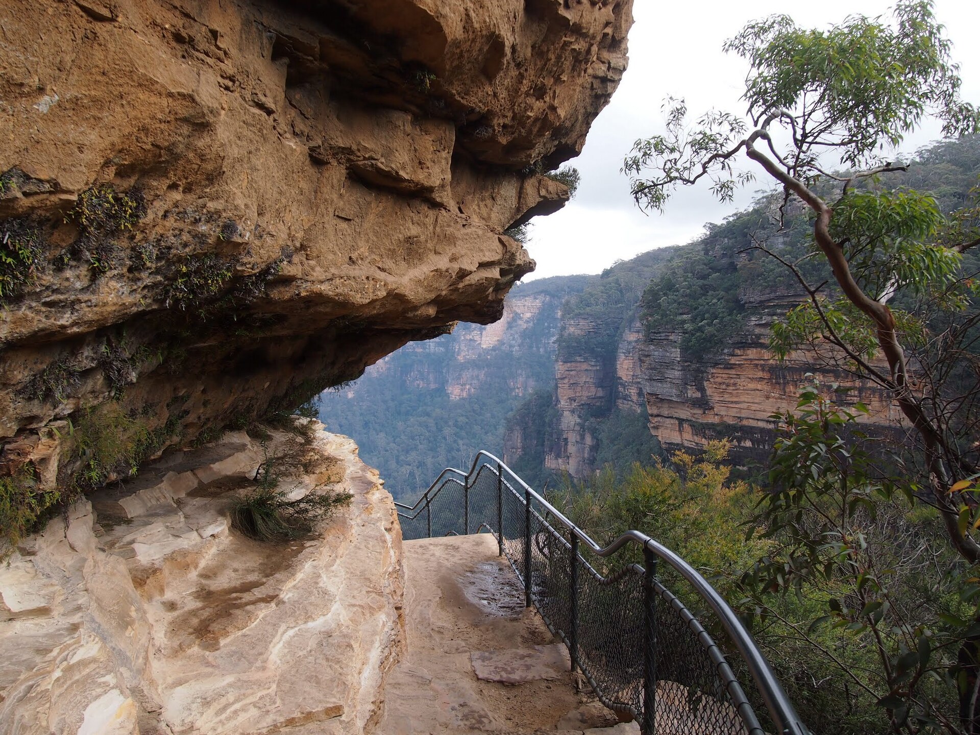 The National Pass track cut into the sandstone cliff face at Wentworth Falls with a railing along the edge
