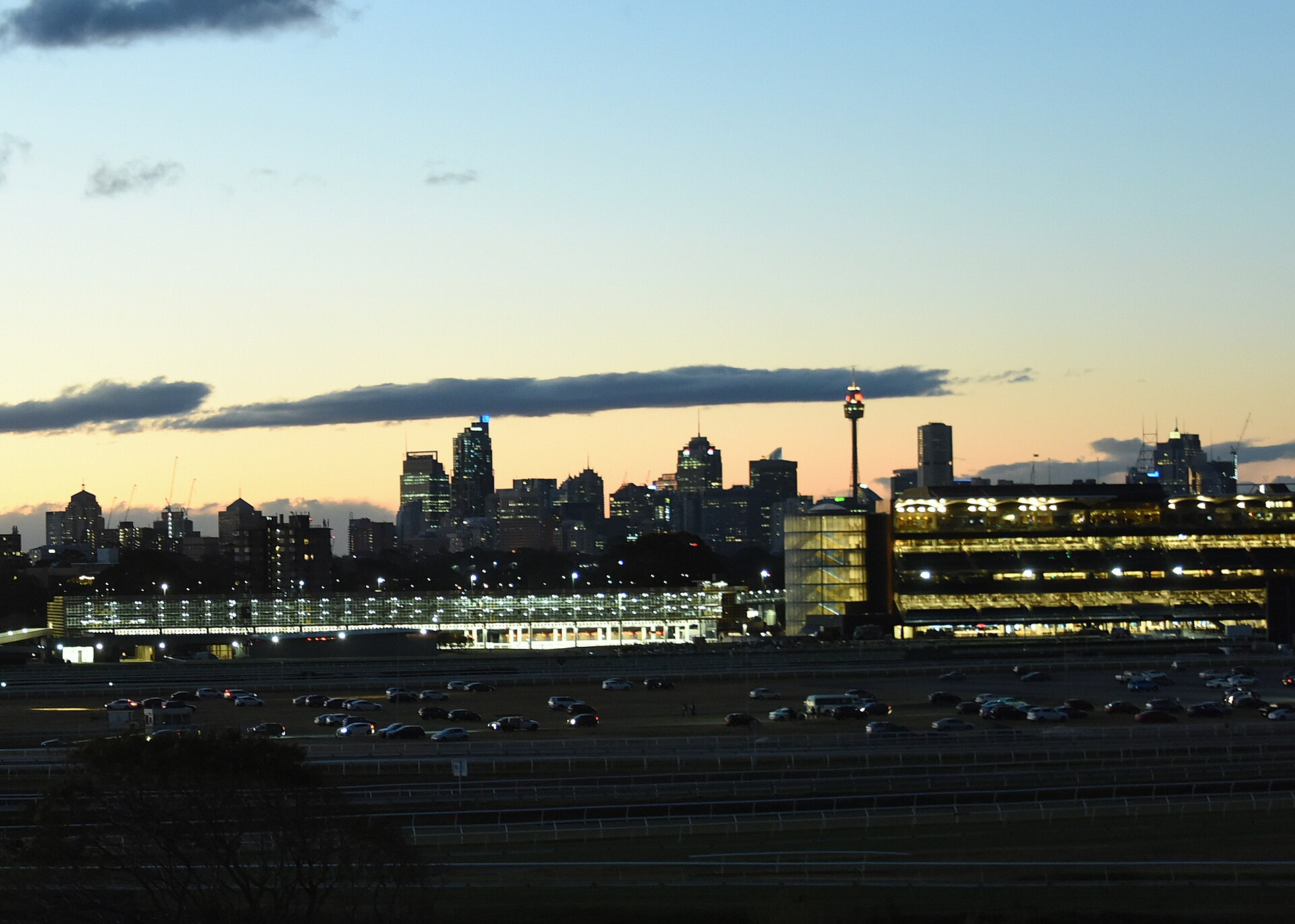 Royal Randwick racecourse at dusk, with the lit grandstands along the track and the Sydney CBD skyline and Sydney Tower silhouetted against a pale evening sky