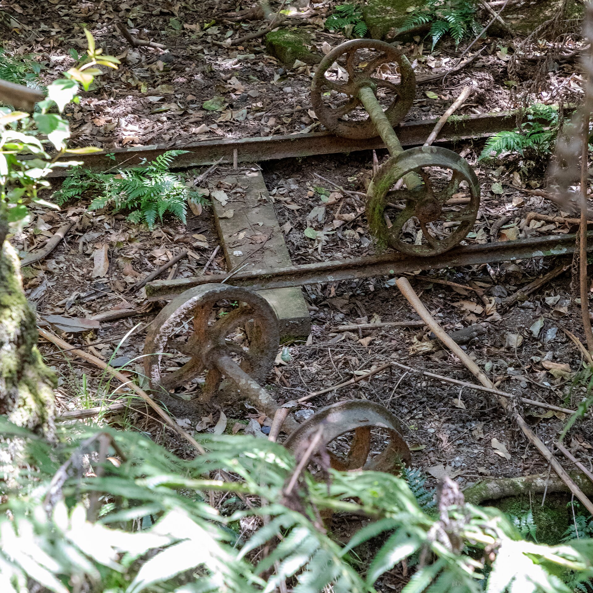 Rusted mine tramway wheels and rails lying in leaf litter beside the Scenic Walkway