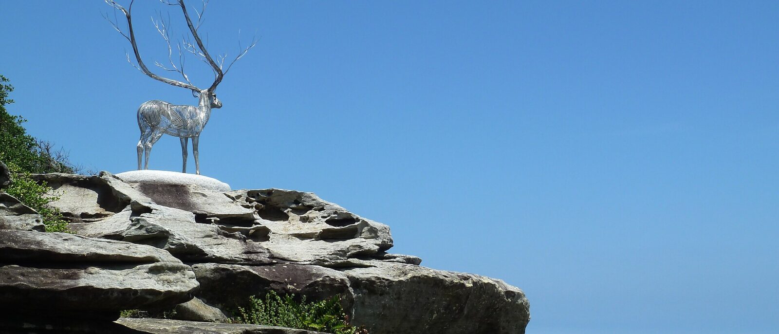 A silver wire sculpture of a stag with branching antlers standing on a sandstone outcrop above the ocean at Marks Park, Tamarama, under a clear blue sky