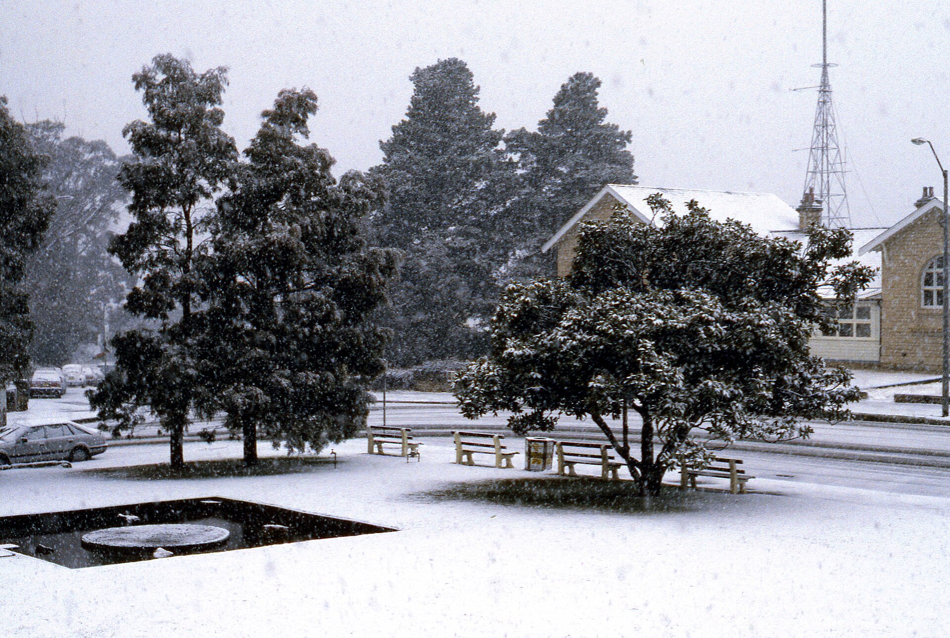 Snow falling on trees, benches and a pond outside the council chambers in Katoomba