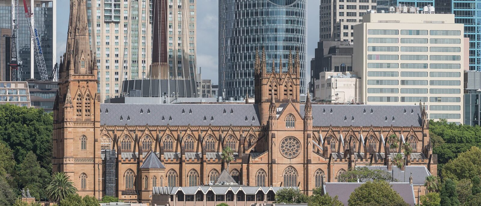 St Mary's Cathedral seen side-on from the east, a long sandstone Gothic church with a central tower and spired towers at its southern end, with the office towers of the city centre rising behind