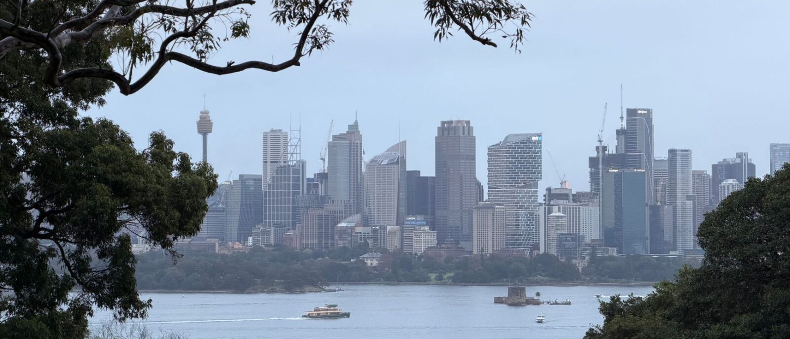 The Sydney CBD skyline across the harbour, framed by gum trees on the north shore, with a green-and-gold ferry passing Fort Denison on a grey autumn day