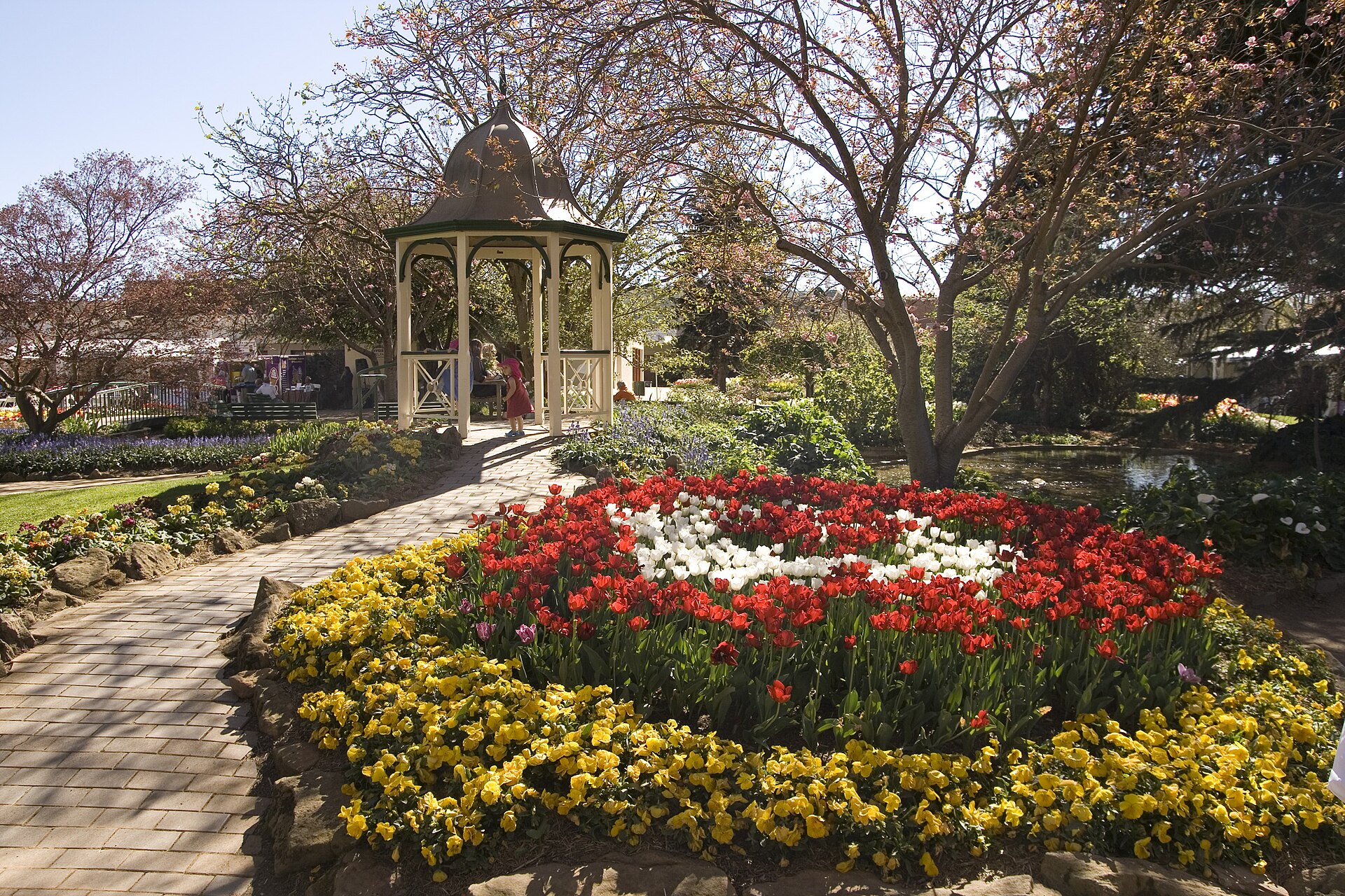 Beds of red and white tulips edged with yellow pansies beside a cream gazebo and a brick path in Corbett Gardens, Bowral, under spring blossom